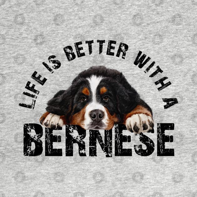 Bernese mountain dog by Bernesemountaindogstuff